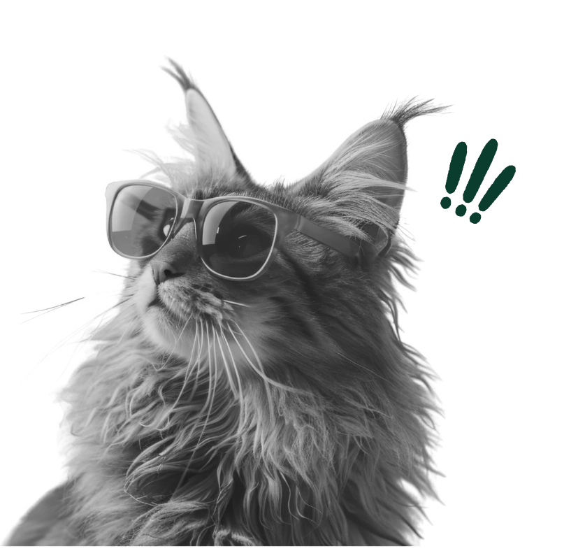 Kot w okularach - SEO w AI